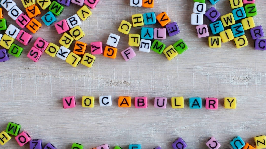 lots of colourful dice with letters on with a row of them spelling 'vocabulary' in the centre